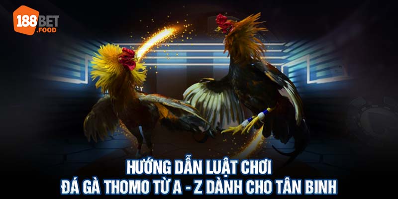 Hướng Dẫn Luật Chơi Đá Gà Thomo Từ A - Z Dành Cho Tân Binh