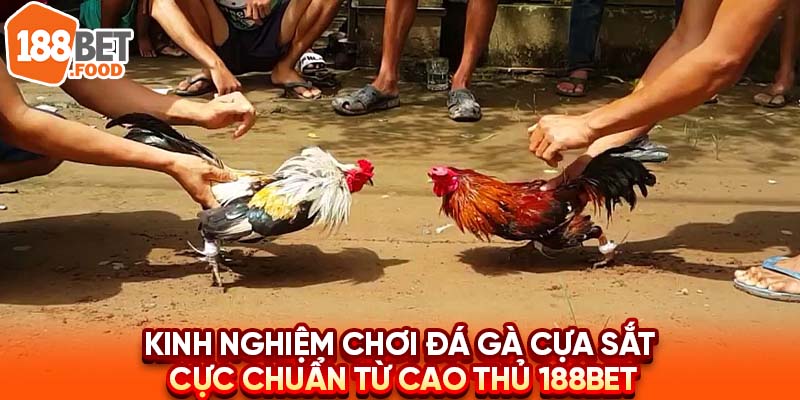 Kinh Nghiệm Chơi Đá Gà Cựa Sắt Cực Chuẩn Từ Cao Thủ 188BET