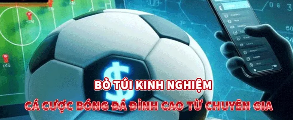 cược bóng đá