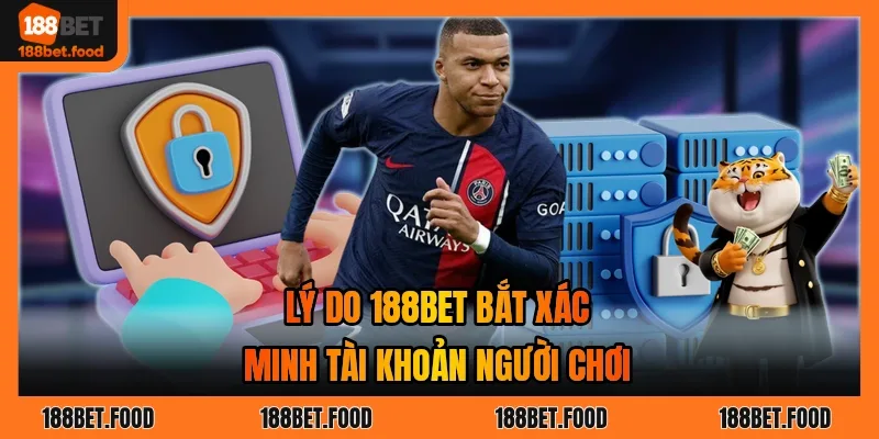 Bảng tổng hợp lý do và giấy tờ xác minh tài khoản của người chơi